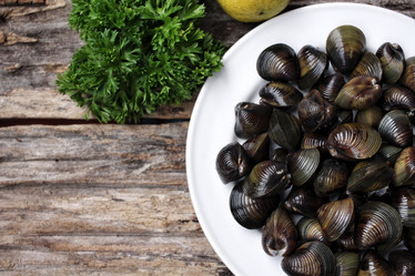 Similar image 9240655