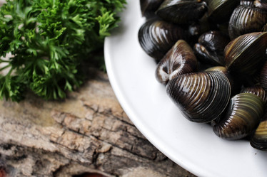 Similar image 9240660