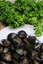 Similar image 9240662