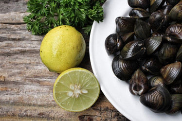 Similar image 9240665