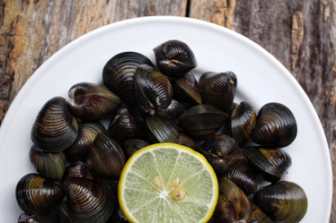 Similar image 9240671