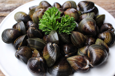 Similar image 9240677