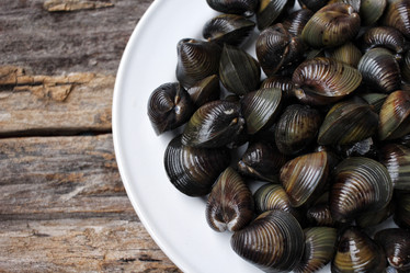 Similar image 9240779