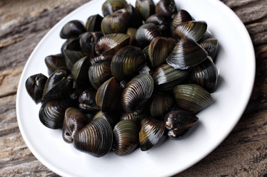 Similar image 9240781