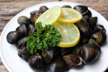 Similar image 9240783