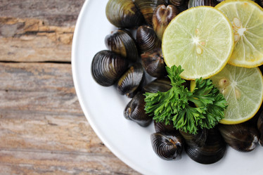 Similar image 9240785