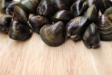 Similar image 9240790