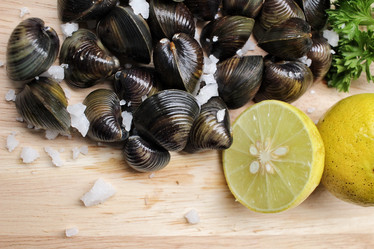 Similar image 9240797