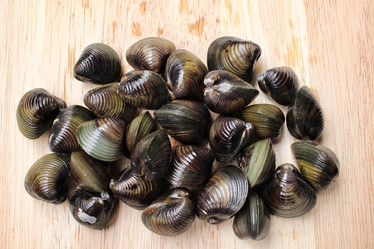 Similar image 9240802