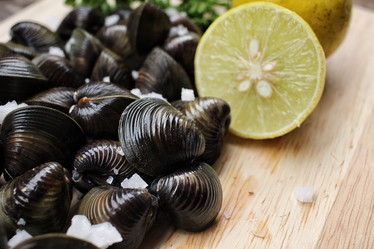 Similar image 9240807