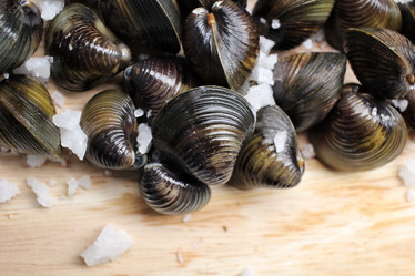 Similar image 9240810