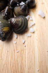 Similar image 9240814