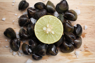 Similar image 9240817