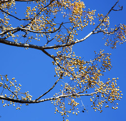 Similar image 9241347