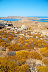 Similar image 9241421