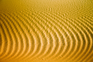 Similar image 9241589