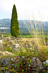 Similar image 9241592