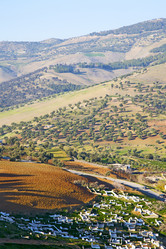 Similar image 9241625