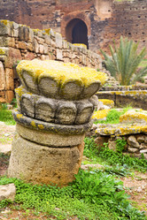 Similar image 9241749