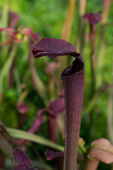 Similar image 9241862