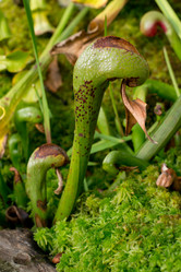 Similar image 9241864