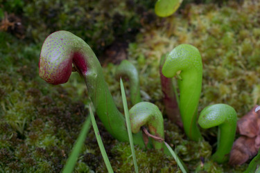 Similar image 9241866