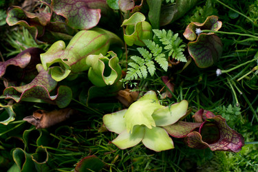 Similar image 9241873