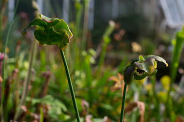 Similar image 9241876