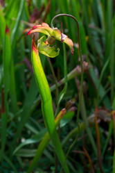 Similar image 9241878