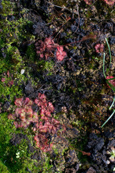 Similar image 9241884