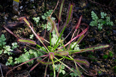 Similar image 9241890