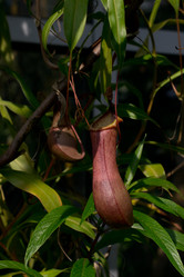 Similar image 9241897