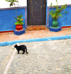 Similar image 9242050