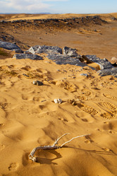 Similar image 9242054