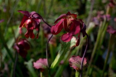 Similar image 9242258