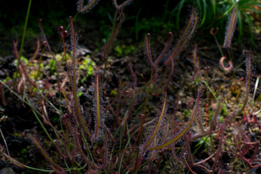 Similar image 9242260