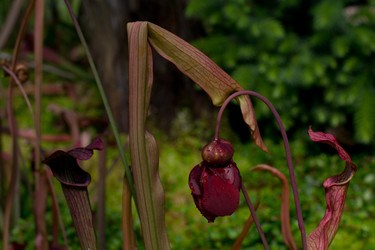 Similar image 9242262