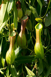 Similar image 9242264