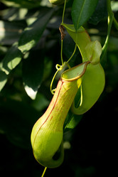 Similar image 9242267