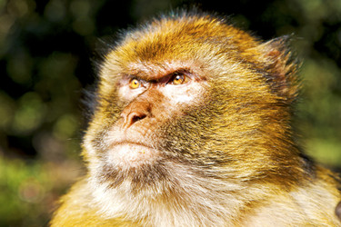 Similar image 9242515