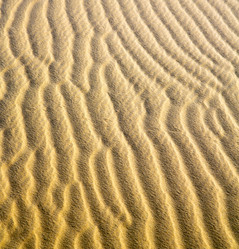 Similar image 9243087