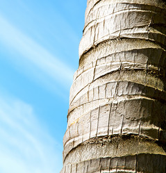 Similar image 9243483