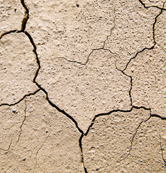 Similar image 9243586