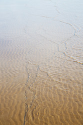 Similar image 9243934