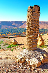 Similar image 9243972