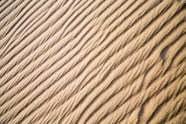 Similar image 9244657