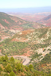 Similar image 9244882