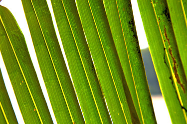 Similar image 9244982