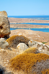 Similar image 9244989