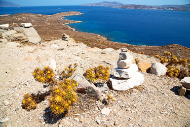 Similar image 9245161